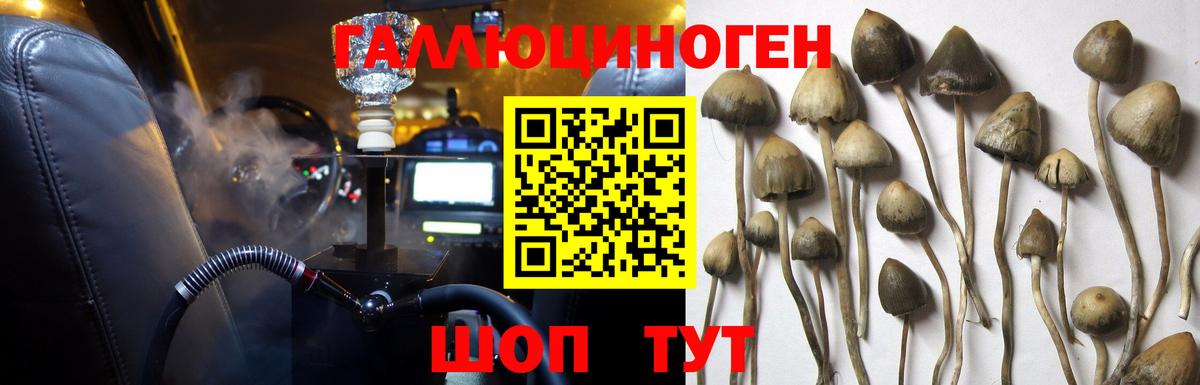 Галлюциногенные грибы MAGIC MUSHROOMS Семёнов