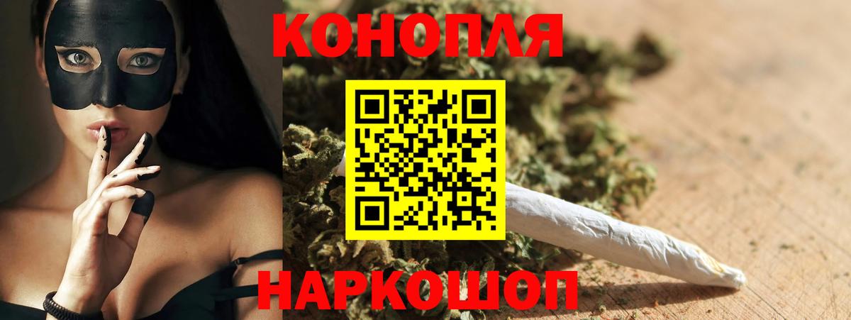 Бошки марихуана планчик  Каннабис планчик  Шишки марихуана OG Kush  Семёнов  Вход с VPN 